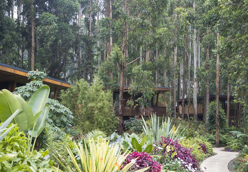 Top Best Lodges Around Volcanoes National Park