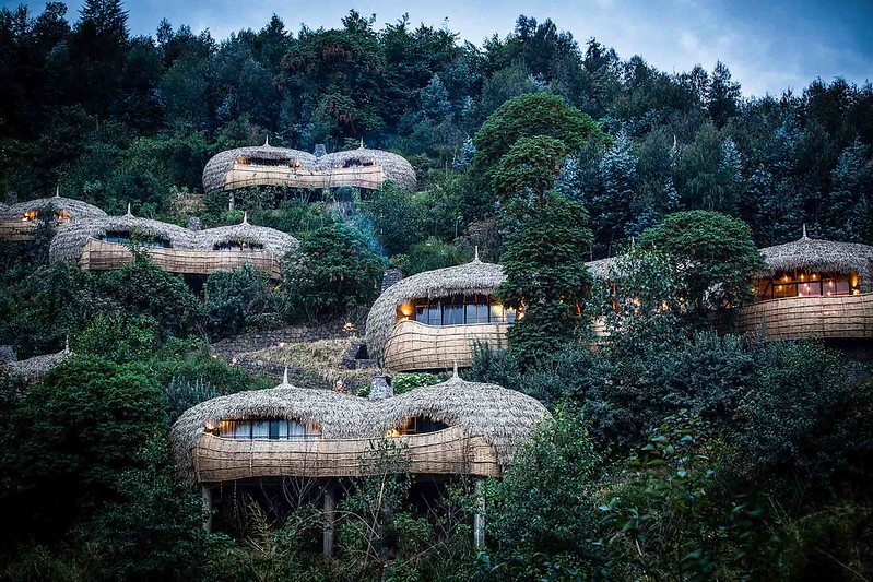Bisate Wilderness Gorilla Lodge