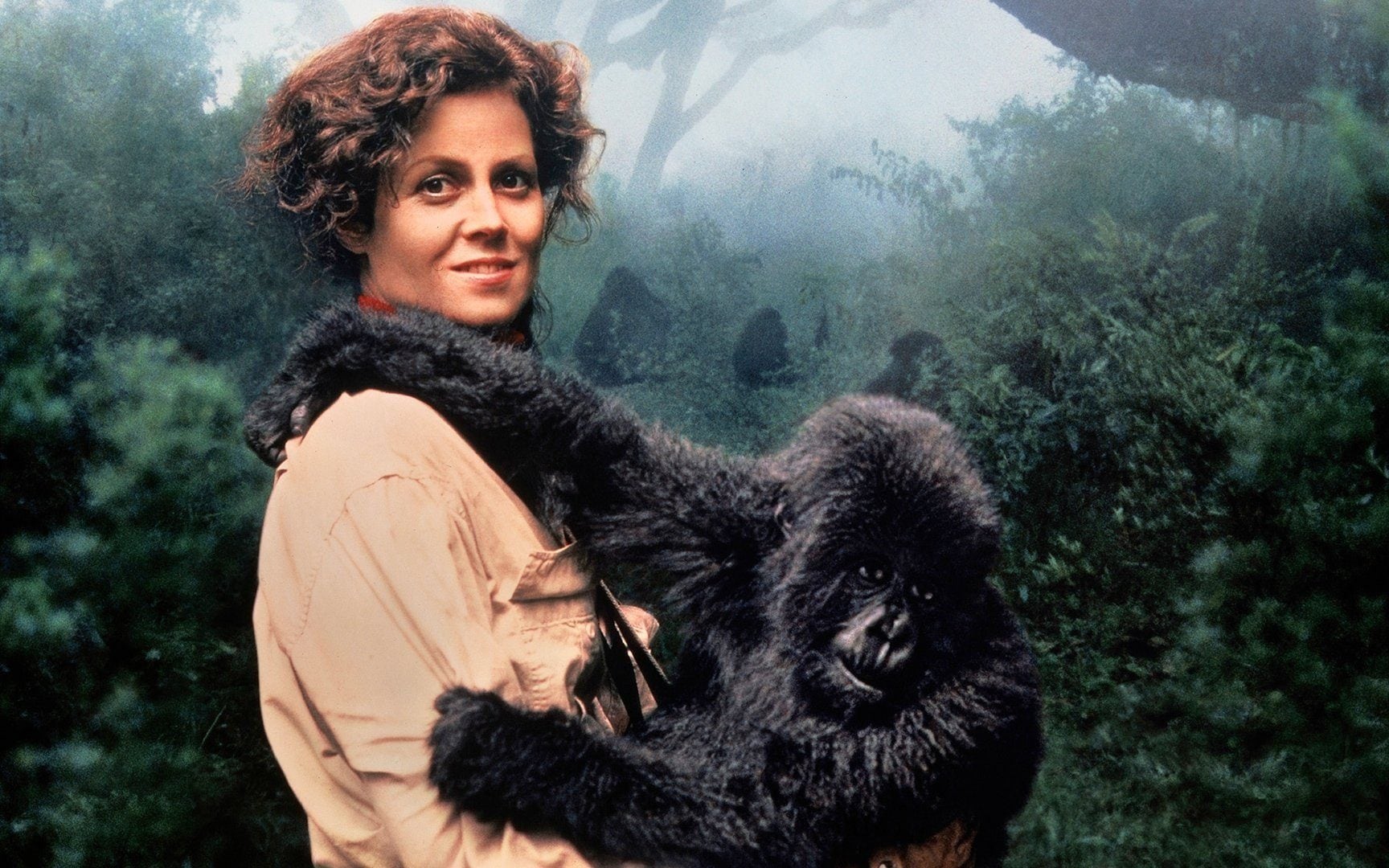 4 Days Rwanda Double Gorilla Trekking Safari