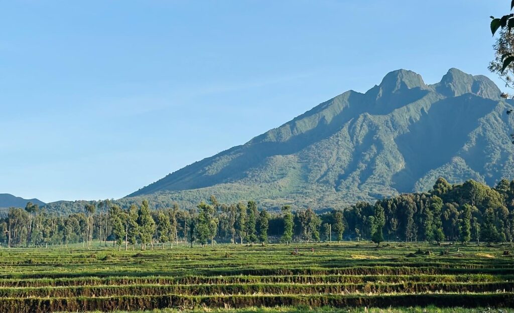 When is the Best Time to Visit Rwanda?