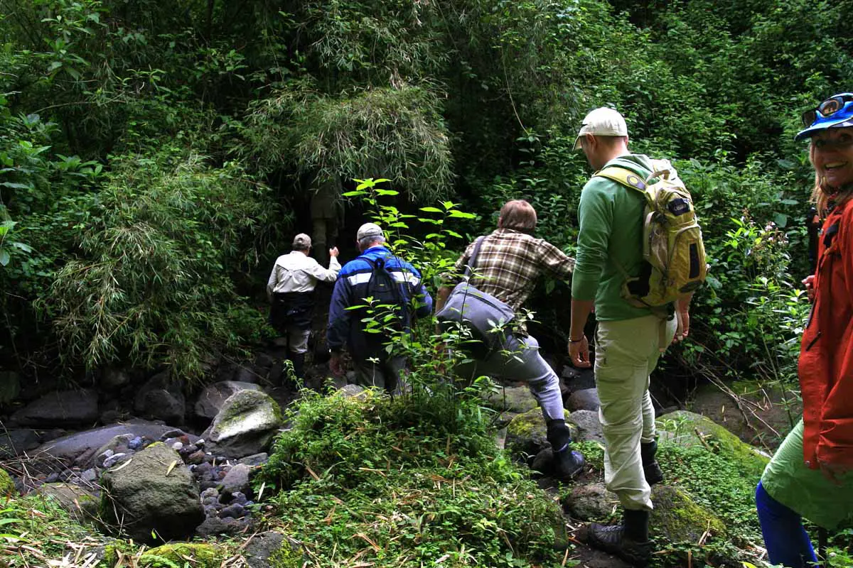 What to Wear and Gear For Gorilla Trekking?