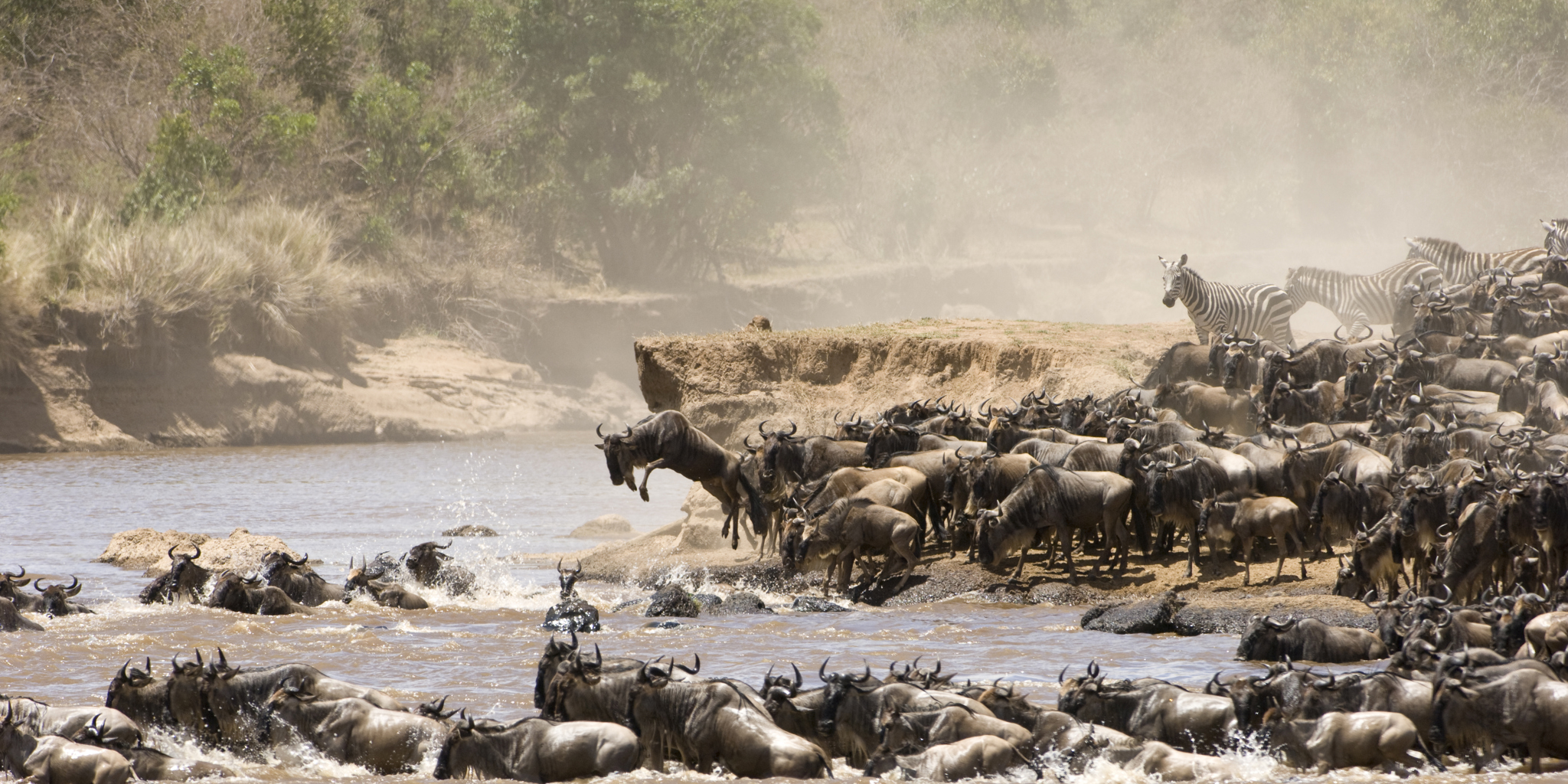 8 days Uganda Kenya Luxury Safari