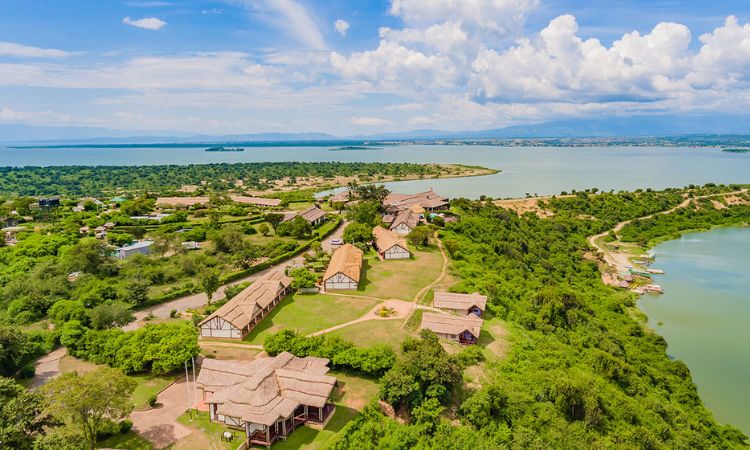 6 Days Bwindi and Queen Elizabeth Safari