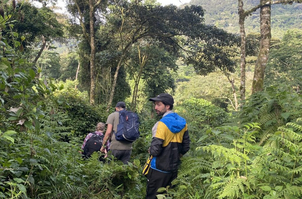 9 Days Uganda Gorillas & Wildlife Safari